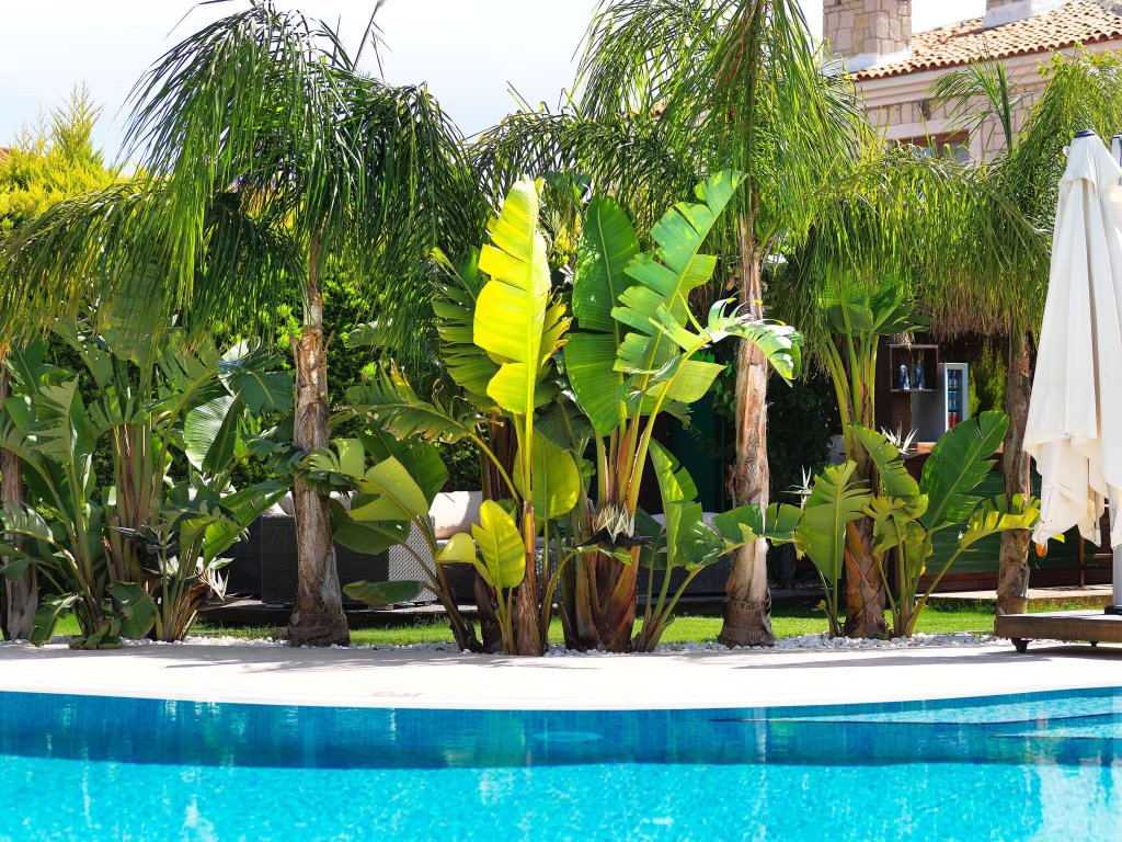 TRİANGULO ALAÇATI