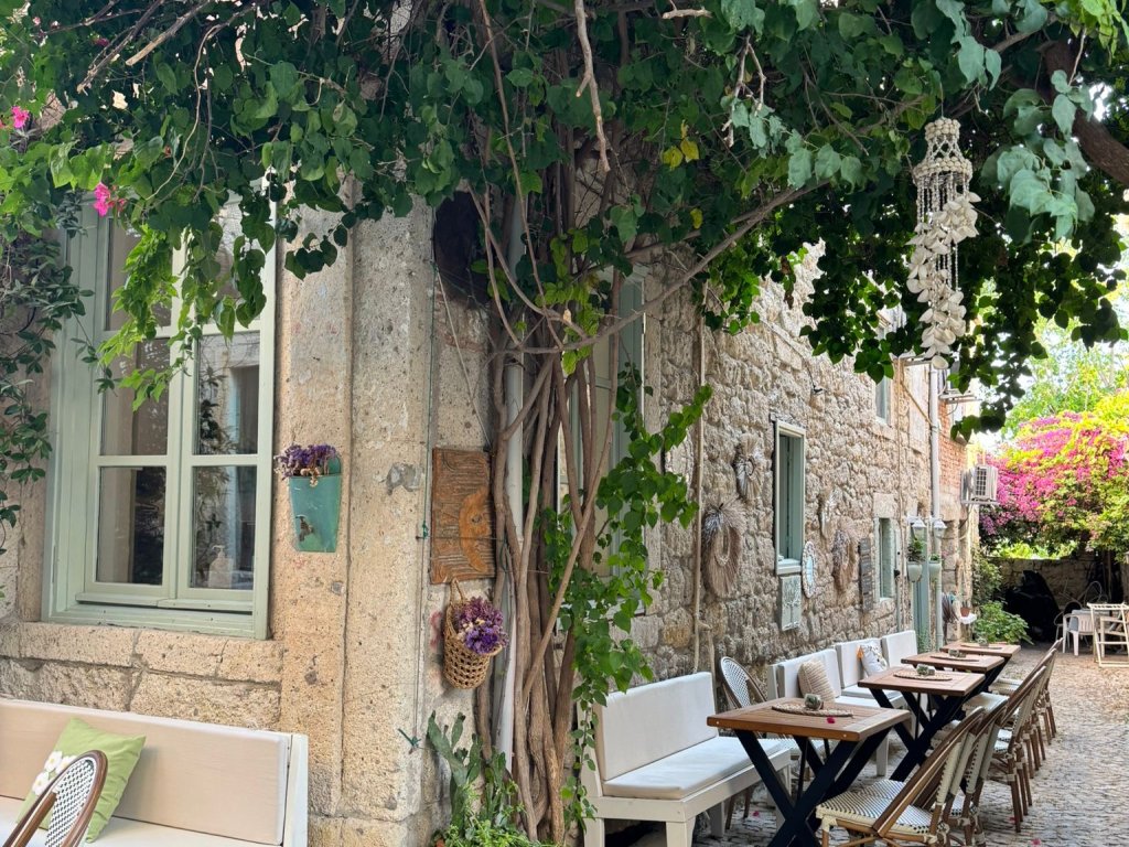 LİTHOS ALAÇATI